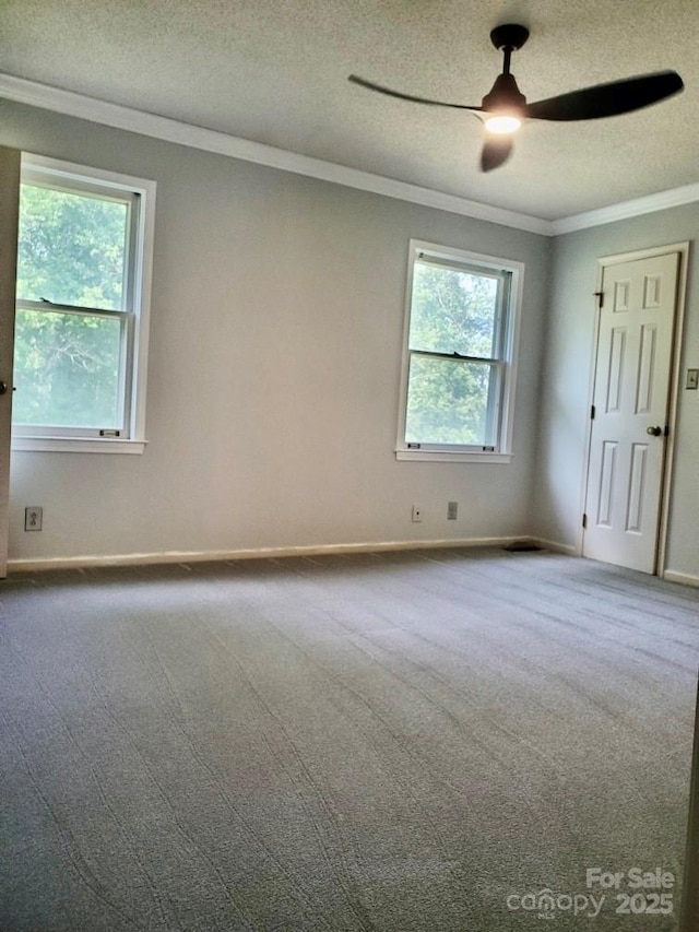 empty room with crown molding, a ceiling fan, a textured ceiling, and carpet floors