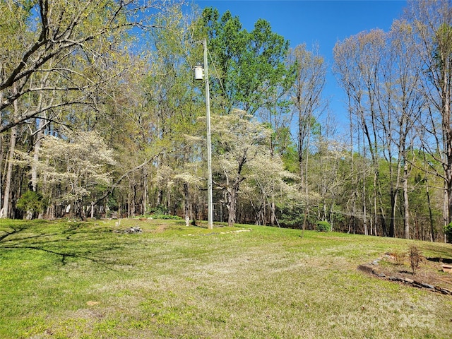 view of yard featuring a wooded view