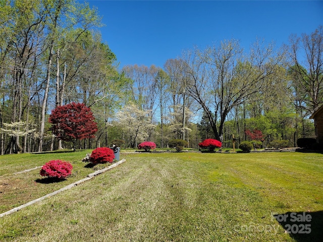 view of yard