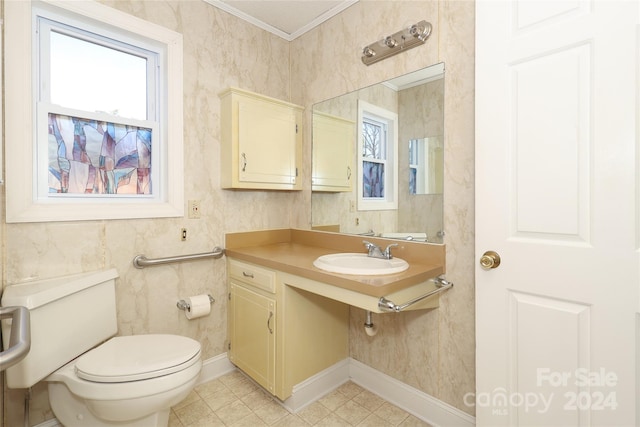 bathroom featuring toilet, plenty of natural light, crown molding, and sink