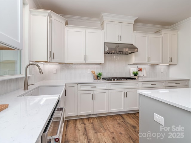 320 Triple Ponds Ct, Clover, SC 29710 - kitchen featuring ventilation hood, a sink, white cabinetry, appliances with stainless steel finishes, and ornamental molding