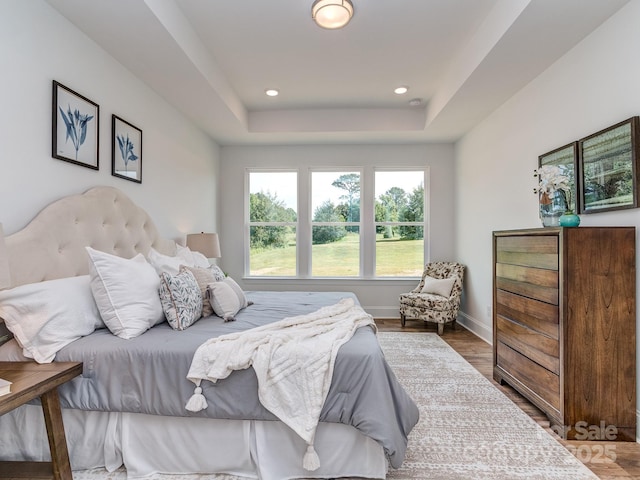 320 Triple Ponds Ct, Clover, SC 29710 - bedroom with wood finished floors, baseboards, recessed lighting, and a raised ceiling
