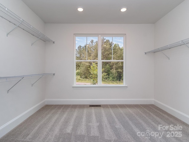 320 Triple Ponds Ct, Clover, SC 29710 - spacious closet with light carpet