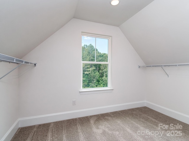 320 Triple Ponds Ct, Clover, SC 29710 - walk in closet with vaulted ceiling and carpet