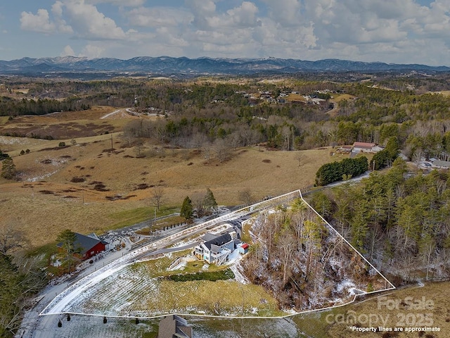 aerial view with a mountain view