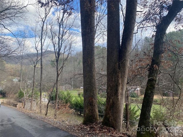 0 Gospel Dr, Sylva, NC 28779