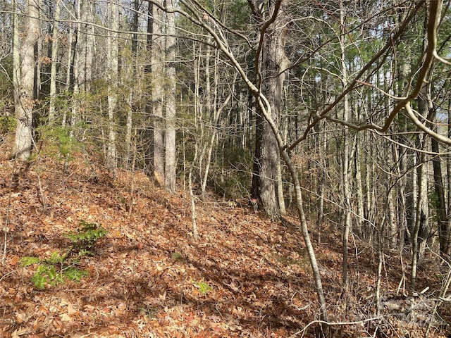 0 Gospel Dr, Sylva, NC 28779
