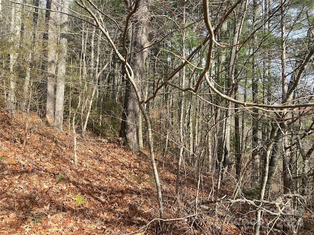 0 Gospel Dr, Sylva, NC 28779
