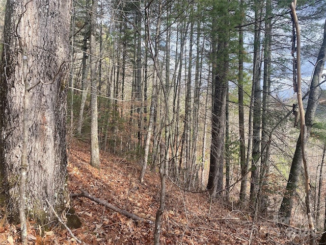 0 Gospel Dr, Sylva, NC 28779