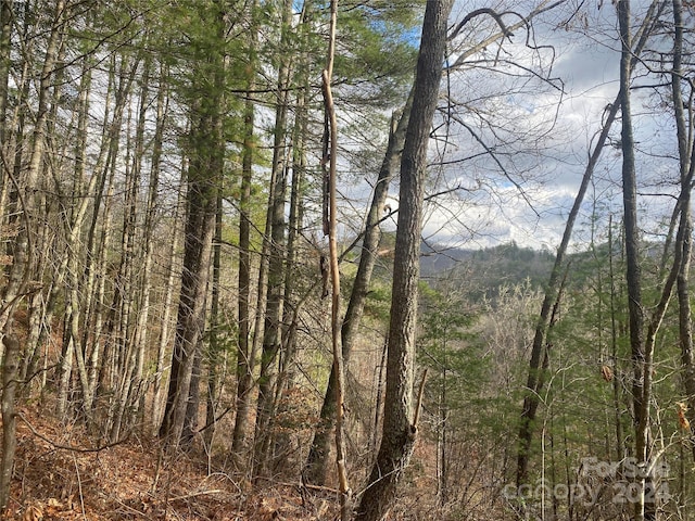 0 Gospel Dr, Sylva, NC 28779