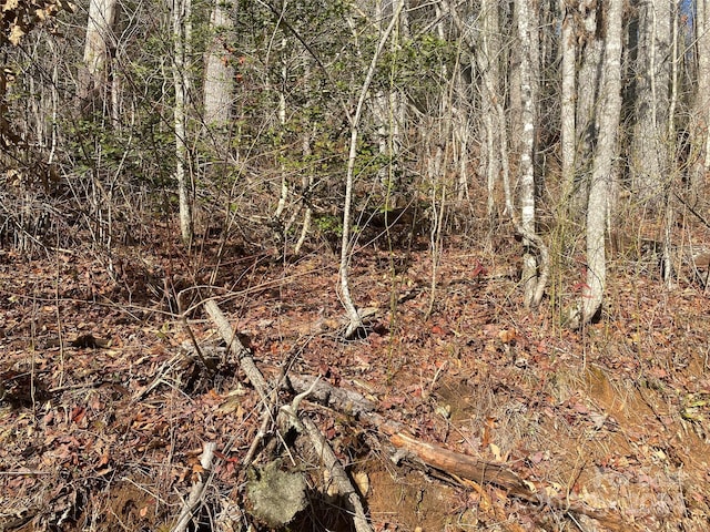 0 Gospel Dr, Sylva, NC 28779