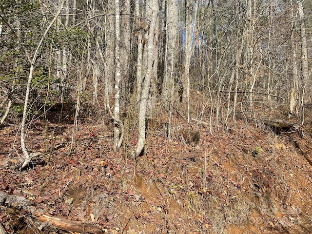 0 Gospel Dr, Sylva, NC 28779