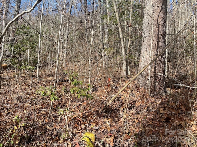 0 Gospel Dr, Sylva, NC 28779
