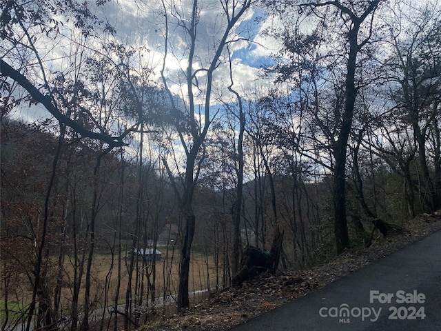 0 Gospel Dr, Sylva, NC 28779