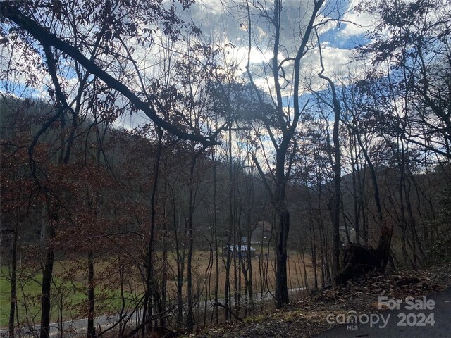 0 Gospel Dr, Sylva, NC 28779