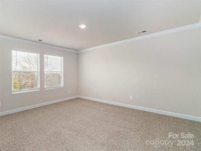 empty room featuring carpet and ornamental molding