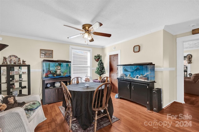 dining space with ceiling fan, crown molding, wood-type flooring, and a textured ceiling