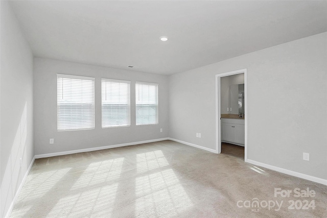 spare room featuring light colored carpet