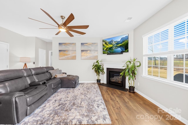 living room with ceiling fan and hardwood / wood-style flooring