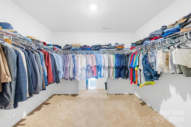 spacious closet with carpet floors