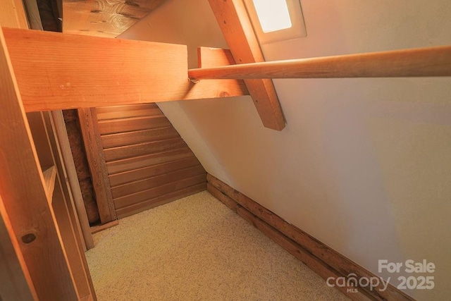 staircase featuring carpet flooring
