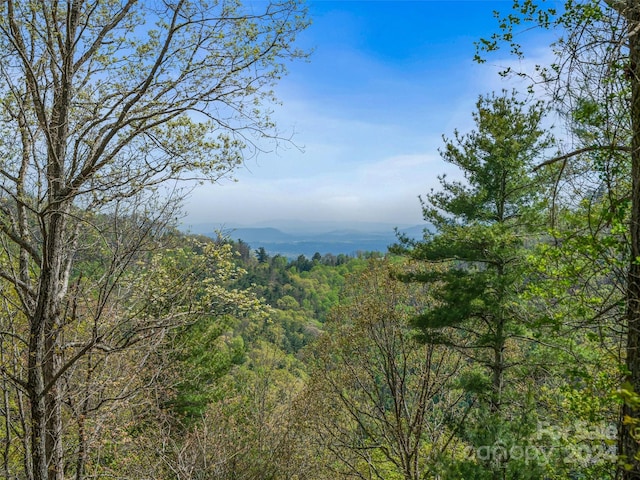 99999 Waxwing Way Unit 17, Asheville NC, 28804 land for sale