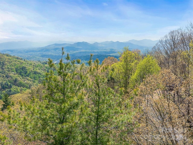 Listing photo 2 for 99999 Waxwing Way Unit 17, Asheville NC 28804