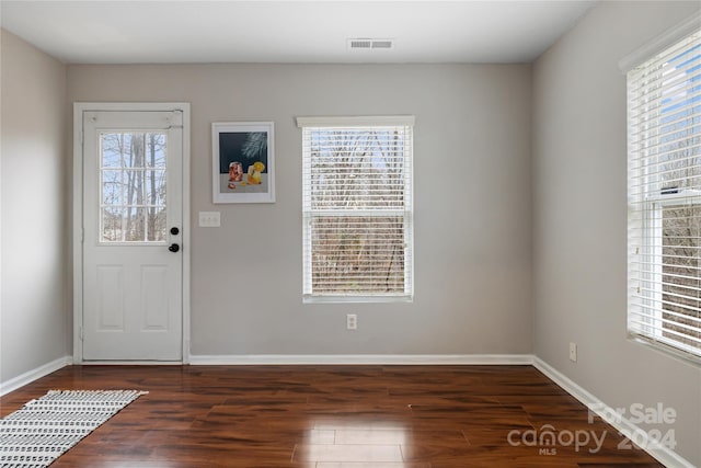 foyer featuring plenty of natural light and dark hardwood / wood-style floors