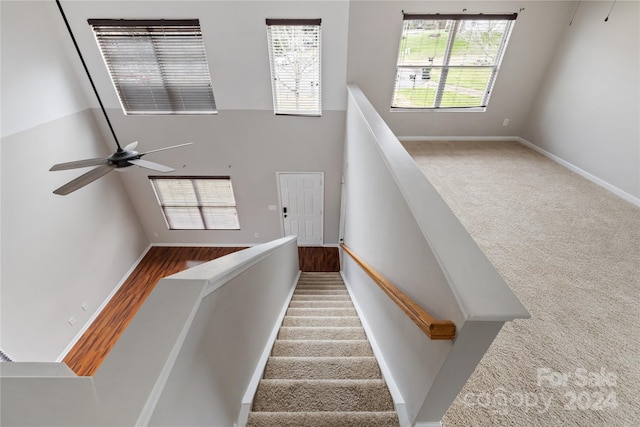 stairway featuring ceiling fan, a towering ceiling, and carpet floors