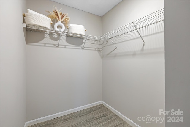 spacious closet featuring wood-type flooring