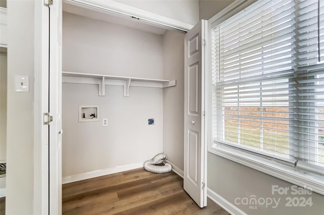 laundry room with washer hookup, electric dryer hookup, and wood-type flooring