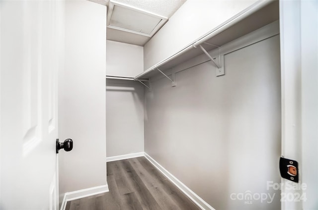 spacious closet with dark hardwood / wood-style flooring