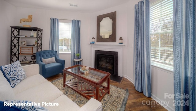 living room with dark hardwood / wood-style floors