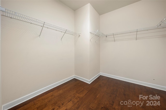 walk in closet featuring dark hardwood / wood-style flooring