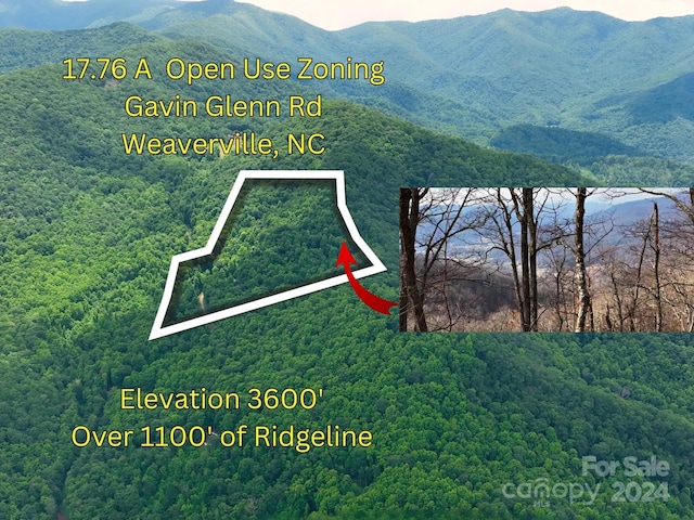 135 Gavin Glenn Rd, Weaverville NC, 28787 land for sale