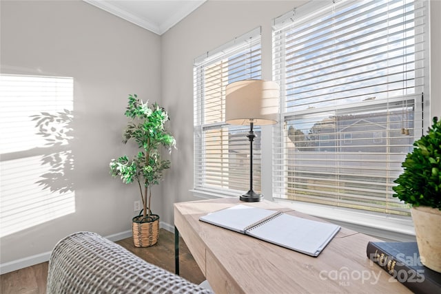 office area with hardwood / wood-style flooring and crown molding