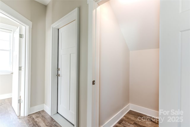 hallway with hardwood / wood-style flooring