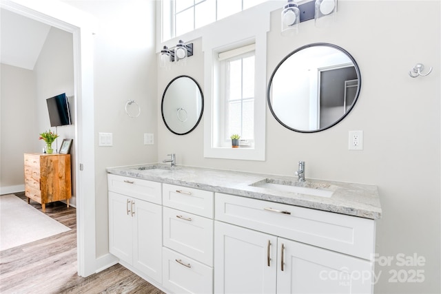 bathroom featuring vanity and hardwood / wood-style floors