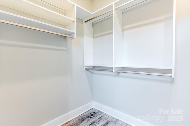 spacious closet featuring hardwood / wood-style flooring