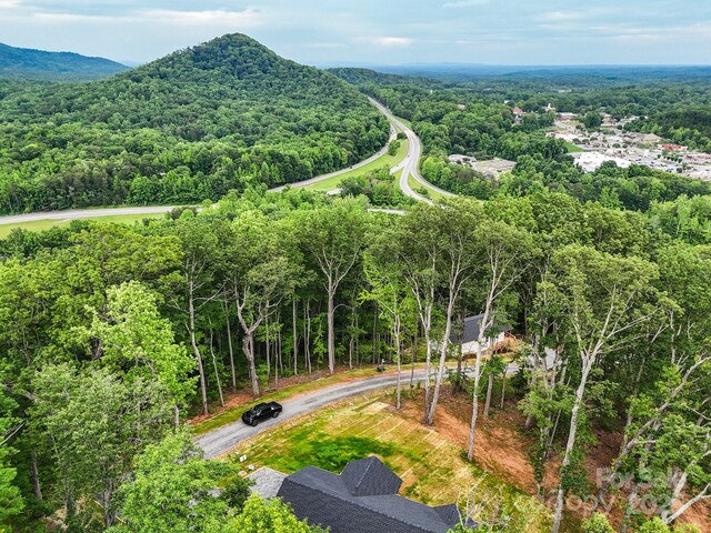 430 Hague Dr, Columbus, NC 28722 - aerial view of a forest