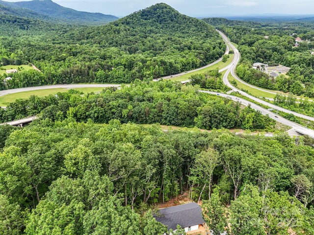 430 Hague Dr, Columbus, NC 28722 - drone / aerial view of a forest and a mountainous background