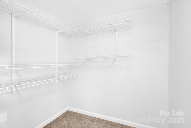 9106 Nash Ave, Charlotte, NC 28213 - photo 8