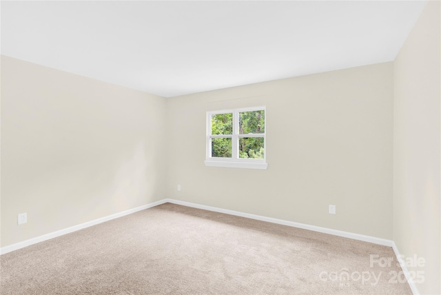 9106 Nash Ave, Charlotte, NC 28213 - photo 12