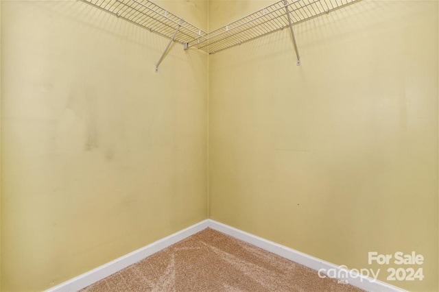 walk in closet featuring carpet