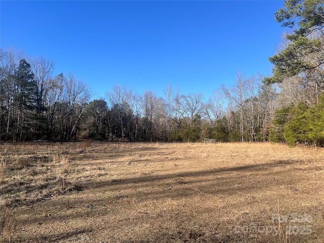 259 Sam Wilson Rd, Union, SC 29379 - photo 4