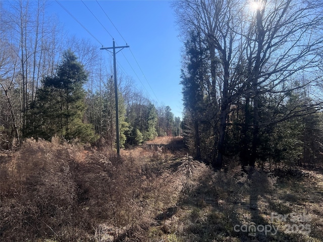 259 Sam Wilson Rd, Union, SC 29379 - photo 14