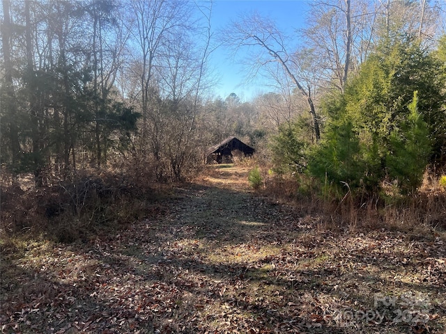 259 Sam Wilson Rd, Union, SC 29379 - photo 15
