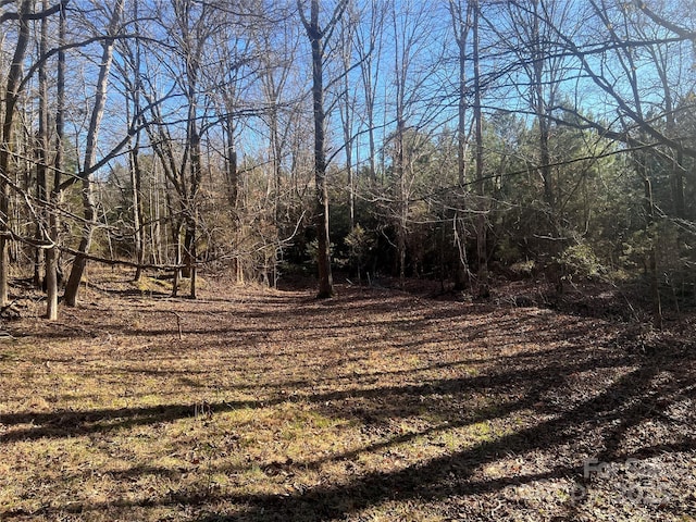 259 Sam Wilson Rd, Union, SC 29379 - photo 16