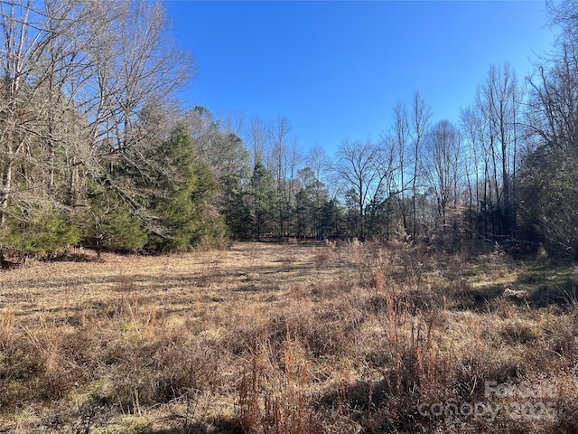 259 Sam Wilson Rd, Union, SC 29379 - photo 19
