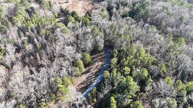 259 Sam Wilson Rd, Union, SC 29379 - photo 21